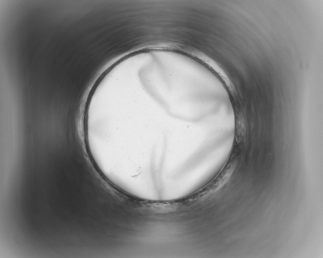 X0000100910959200807220948