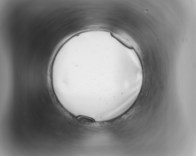 X0000100910960200807220948