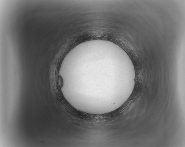 X0000100910961200807220947