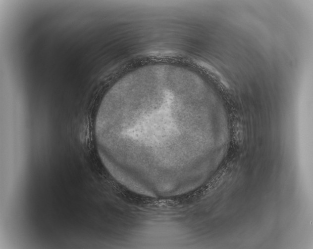 X0000100910966200807220947