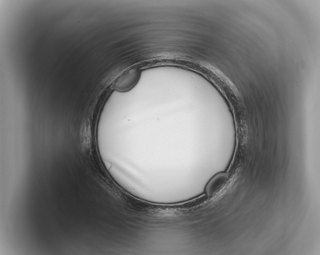 X0000100910969200807220947