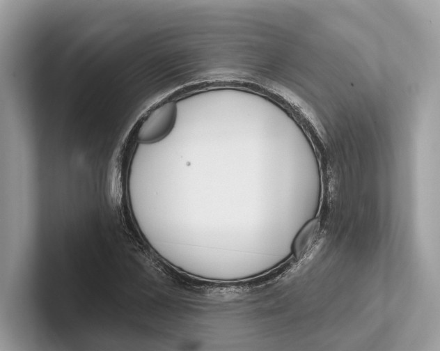 X0000100910973200807220947