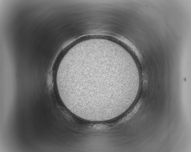 X0000100910974200807220947