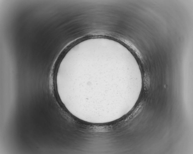 X0000100910976200807220947