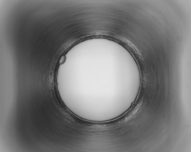 X0000100910977200807220947