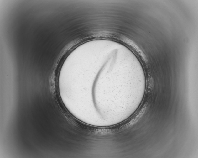 X0000100910978200807220947