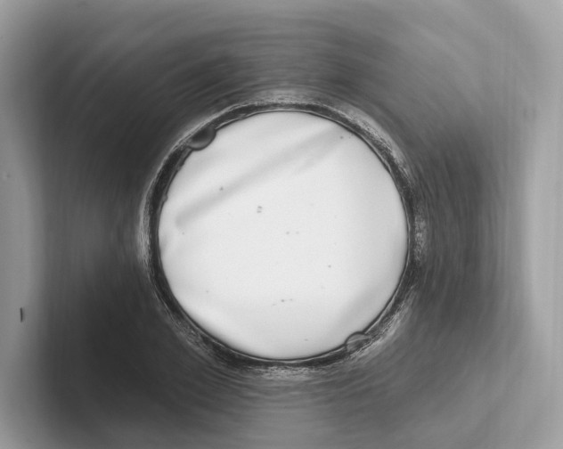 X0000100910981200807220947