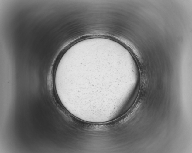 X0000100910982200807220947