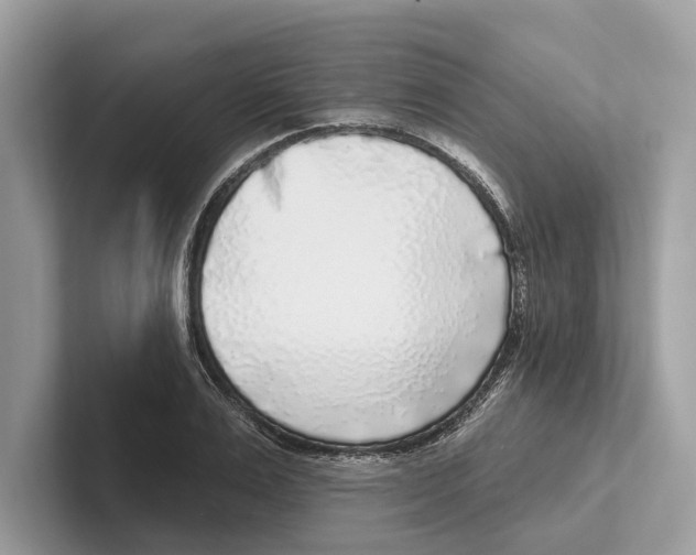 X0000100910983200807220947