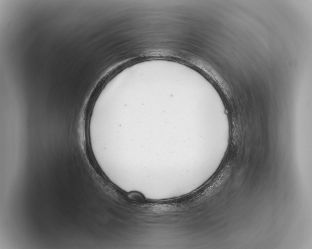 X0000100910984200807220947