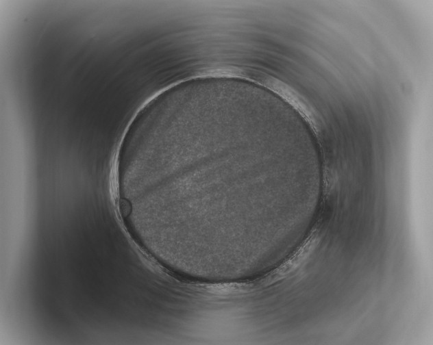 X0000100910988200807220947