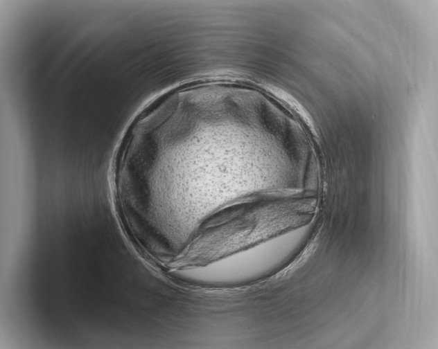 X0000100910989200807220947