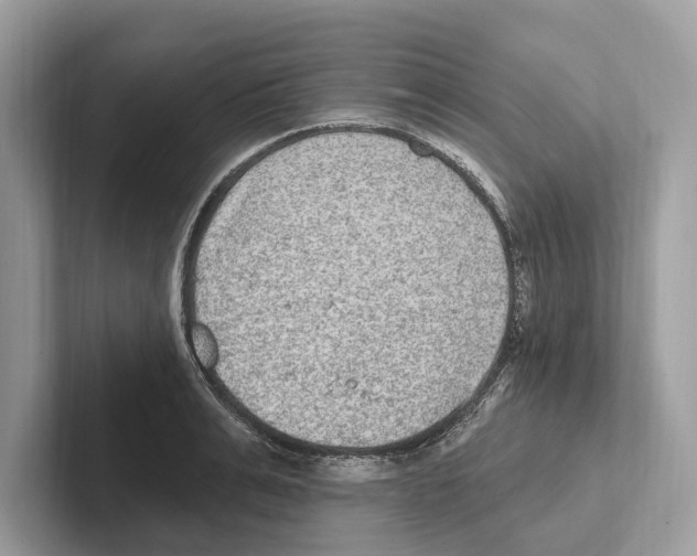 X0000100910991200807220947