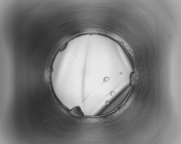 X0000100910993200807220947