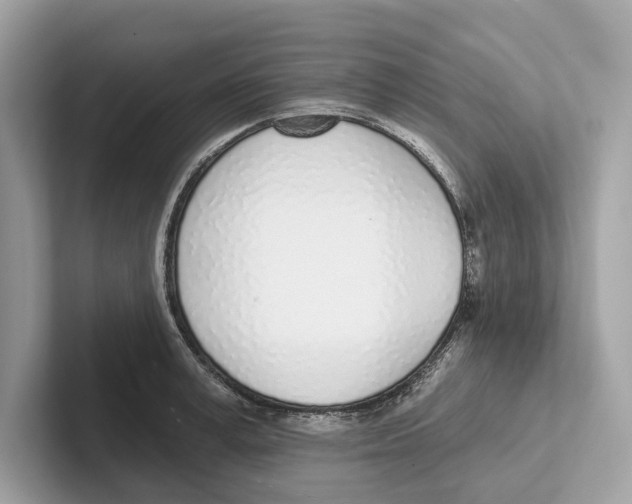 X0000100910995200807220947