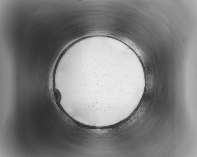 X0000100910996200807220947