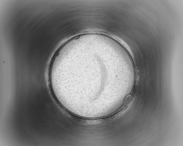 X0000100910997200807220947