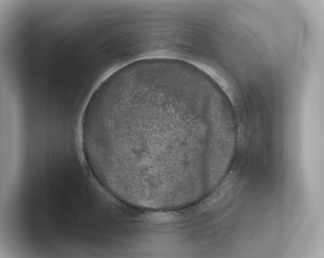 X0000100910998200807220947