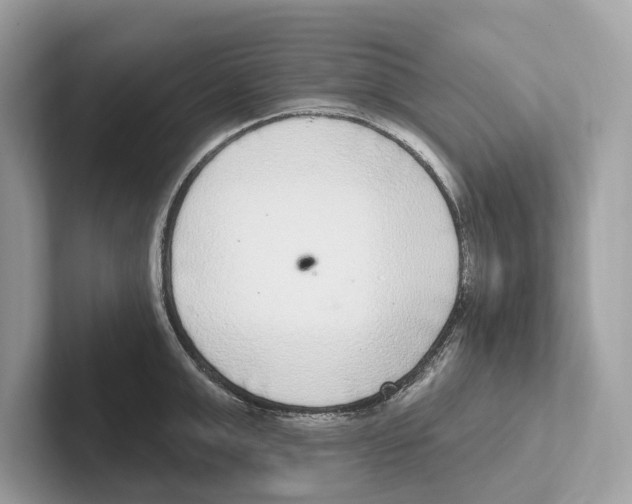 X0000100910999200807220947