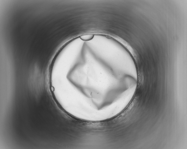 X0000100911006200807220947