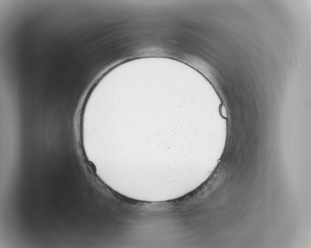 X0000100911008200807220946