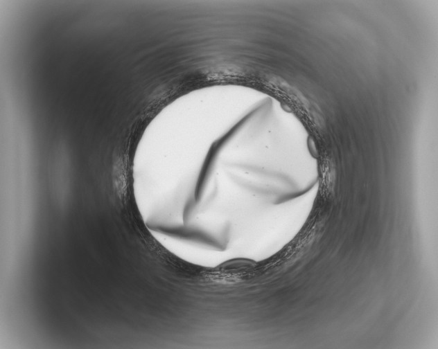 X0000100911012200807220946