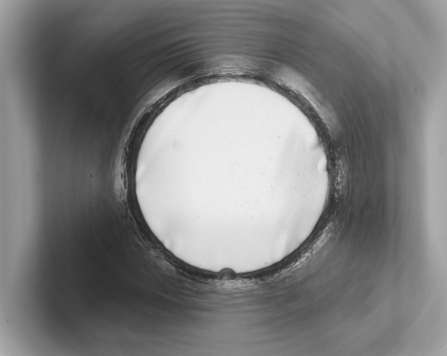 X0000100911018200807220946