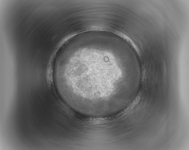 X0000100911019200807220946