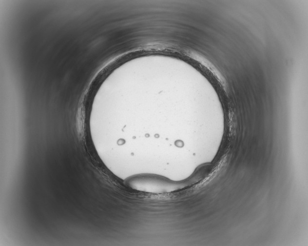 X0000100911021200807220946