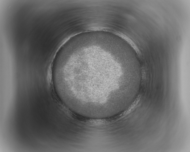 X0000100911023200807220946