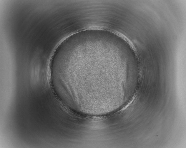 X0000100911027200807220946