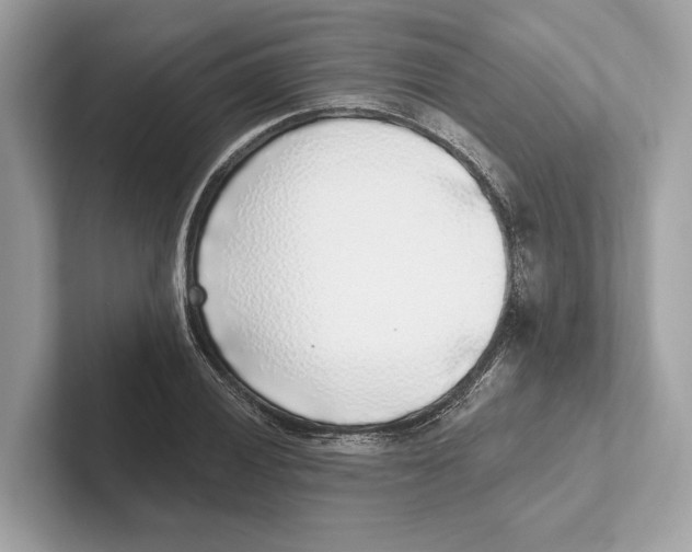 X0000100911028200807220946