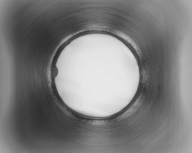 X0000100911029200807220946