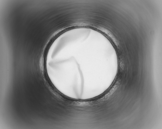 X0000100911030200807220946