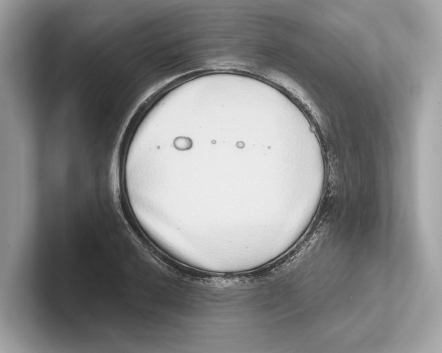 X0000100911032200807220946