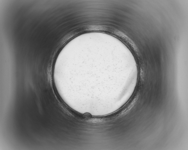 X0000100911033200807220946