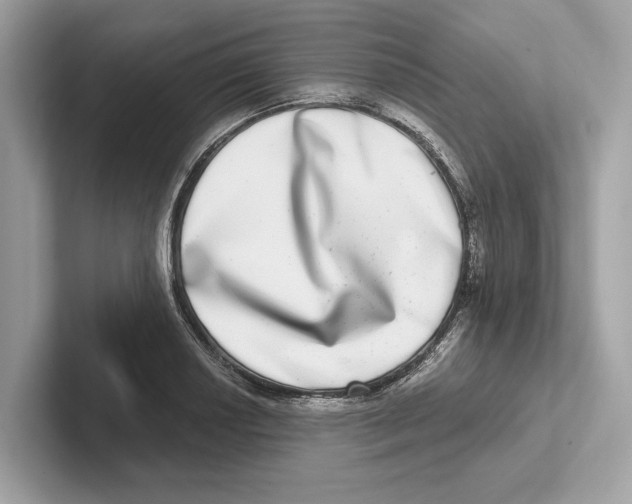 X0000100911034200807220946