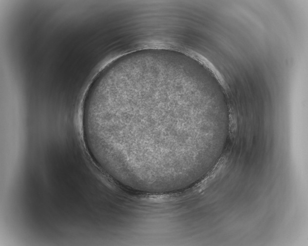 X0000100911035200807220946