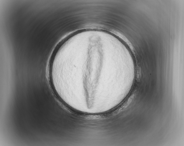 X0000100911037200807220946