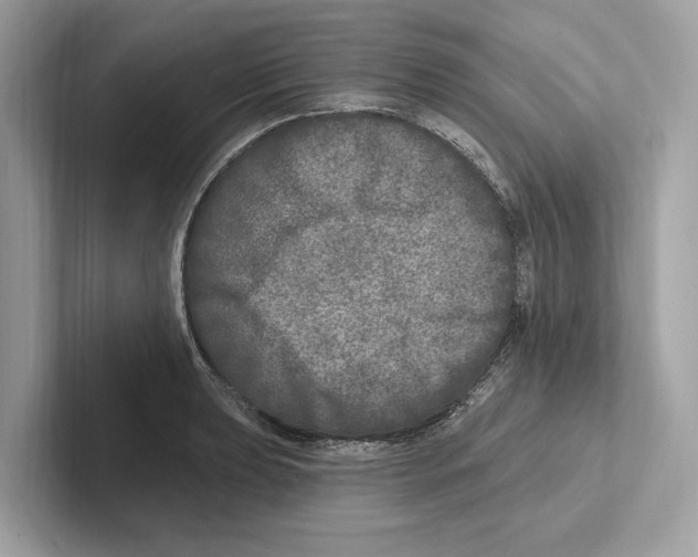 X0000100911039200807220946