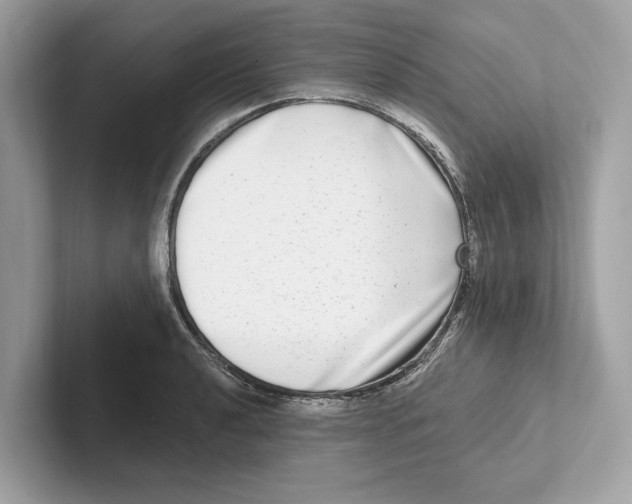 X0000100911040200807220946