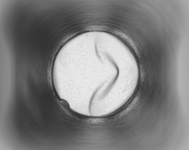 X0000100911041200807220946