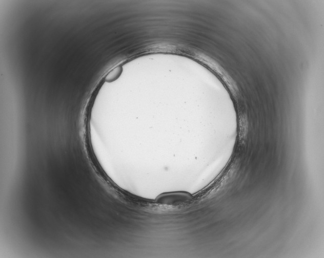 X0000100911042200807220946