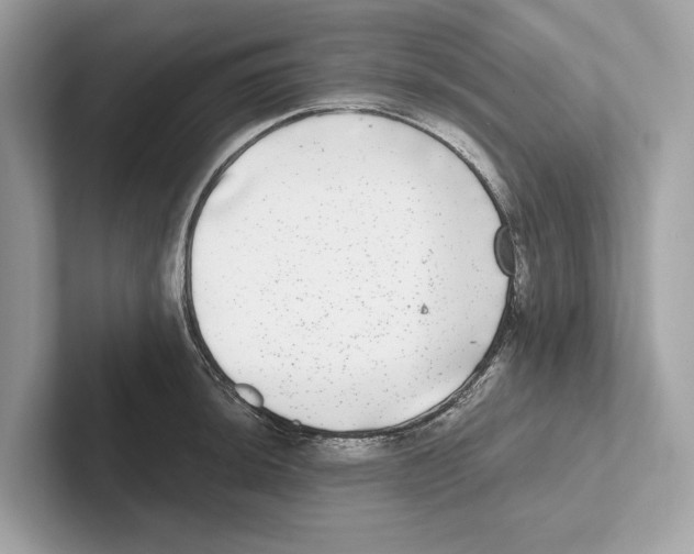 X0000100911044200807220946