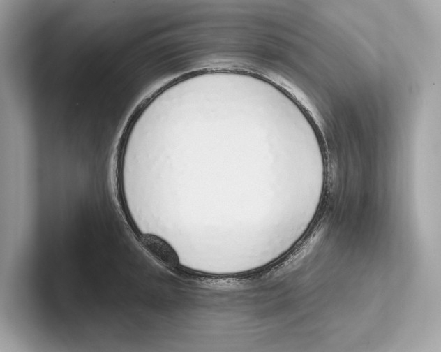 X0000100911045200807220946