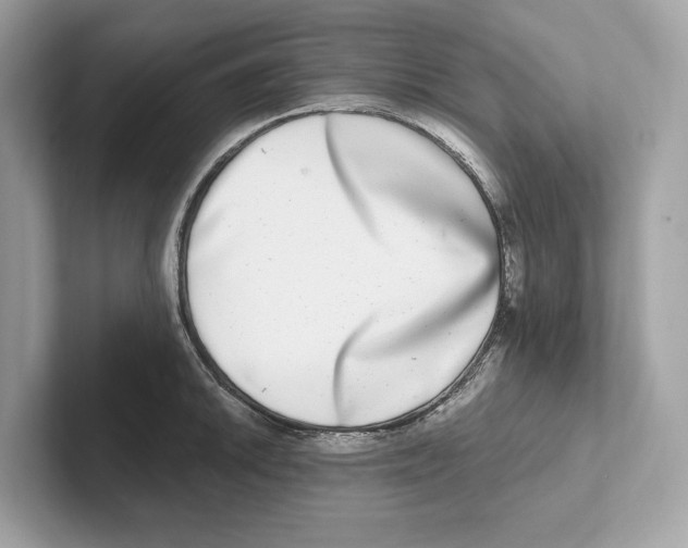 X0000100911046200807220946