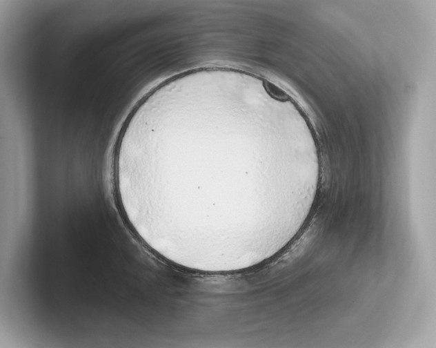 X0000100911048200807220946