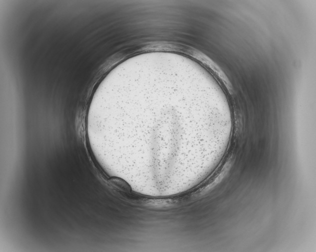 X0000100911049200807220946