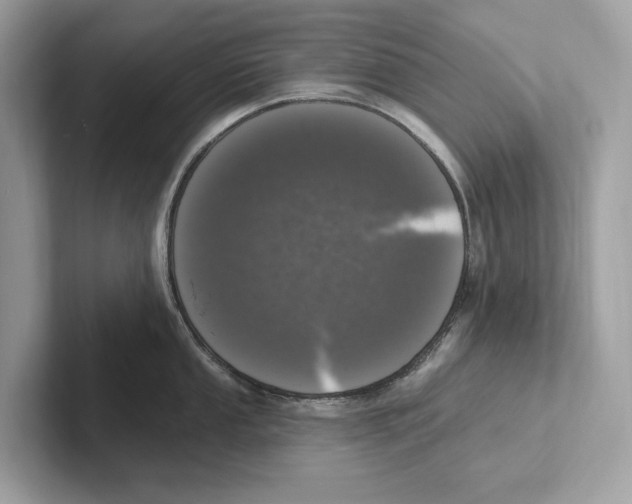 X0000100911053200807220946