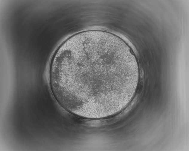 X0000100911054200807220946